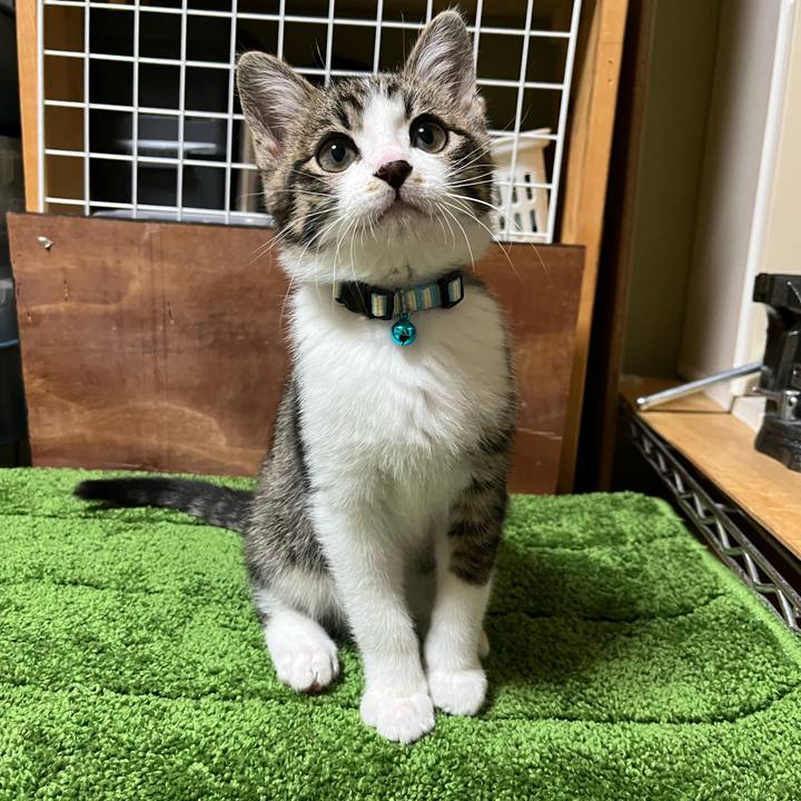 Ea9396f9 dd38 465a 8bd0 852fec234bc1 1768388159691