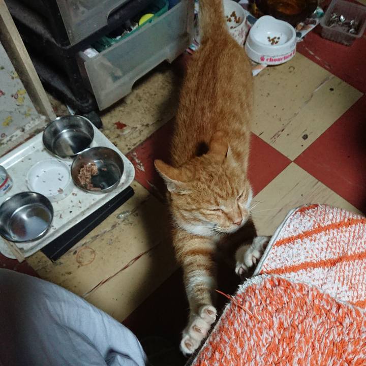 Ea93b57e 8dc0 4c33 9794 816596fd1bd8 1596052956902