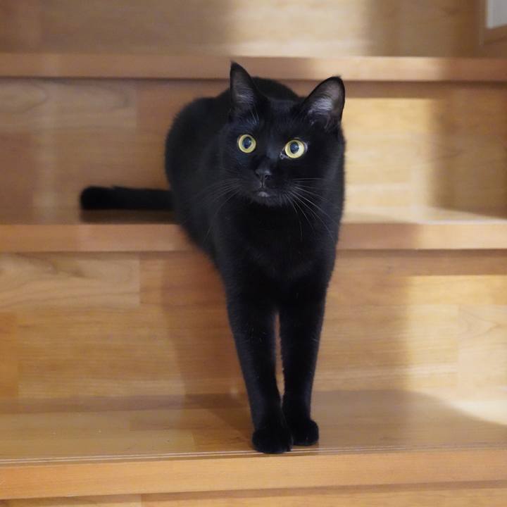 Ea93b5c4 952b 4a2f 9025 1b00dcf87a03 1570146330766