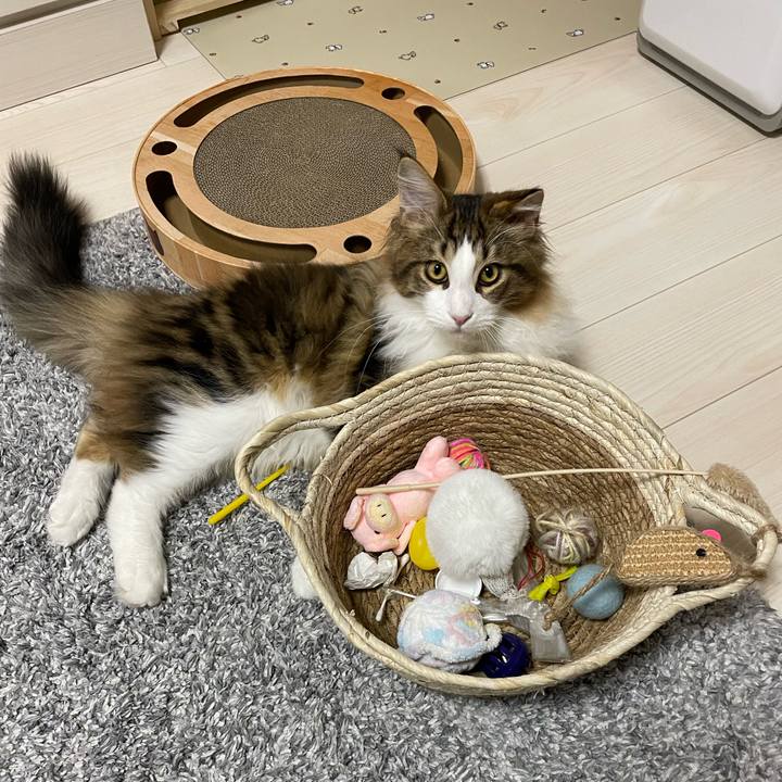 Ea93b734 3ec2 48de bcba 70e88d208cb8 1639599858592