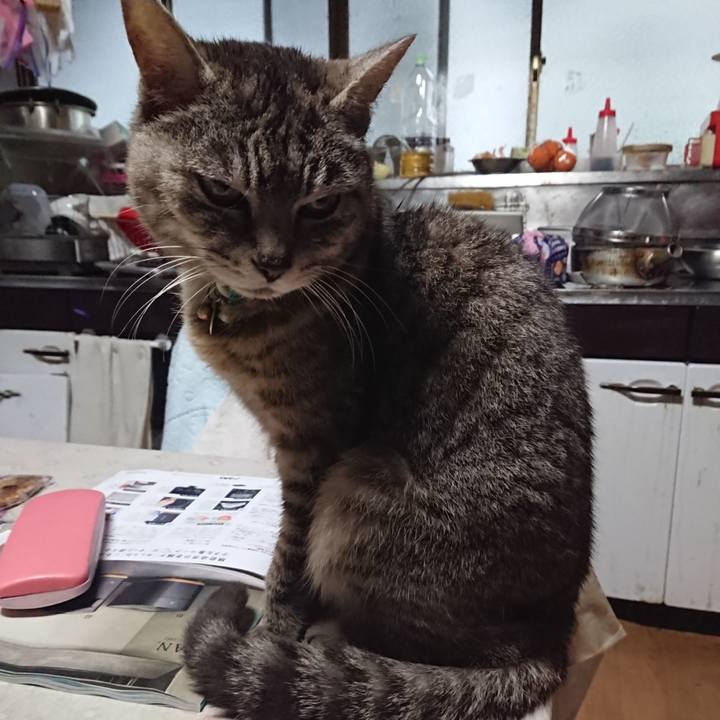 Ea93f19f 5a90 40e5 bbd2 8f1fdb0c0df8 1558383581467