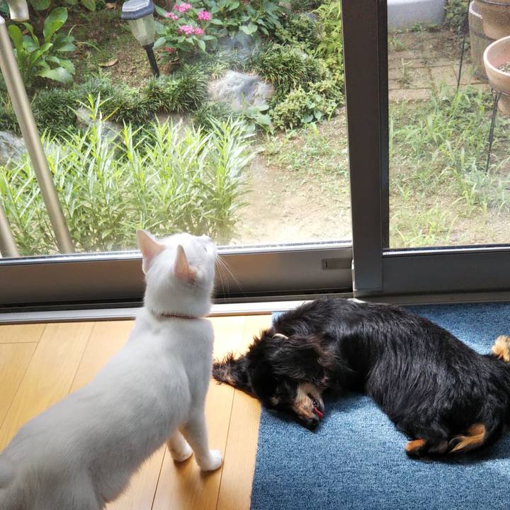 Ea946577 b0ed 4260 8df6 b454145fbda9 1628036467549