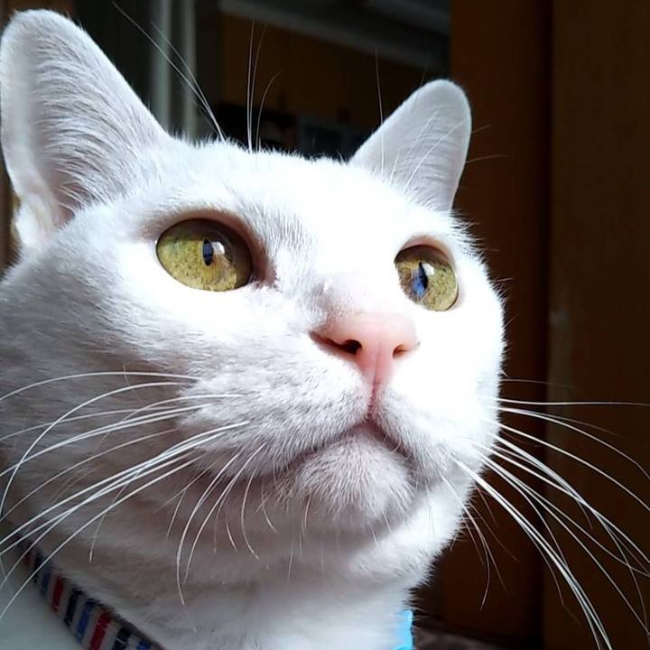 Ea9473eb 2b4f 46a0 b172 8b0497e609e2 1604108603977