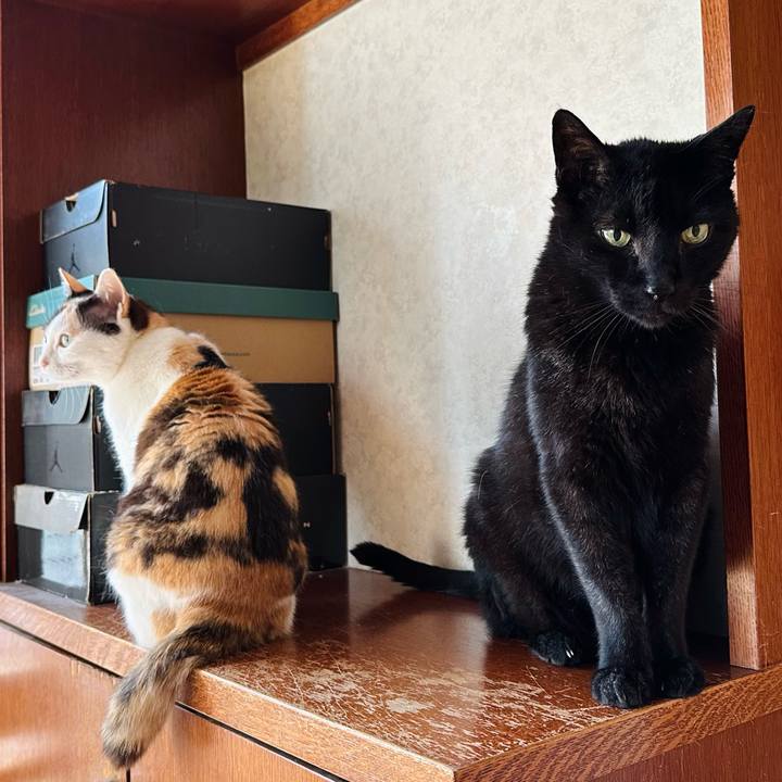 Ea94763d 21cb 45fb 8aac bdc39f2aee35 1688871321349