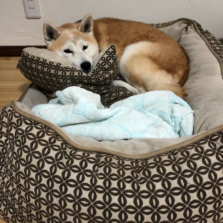 Ea94ad74 9891 4c29 9616 9899e7c15752 1540129671601