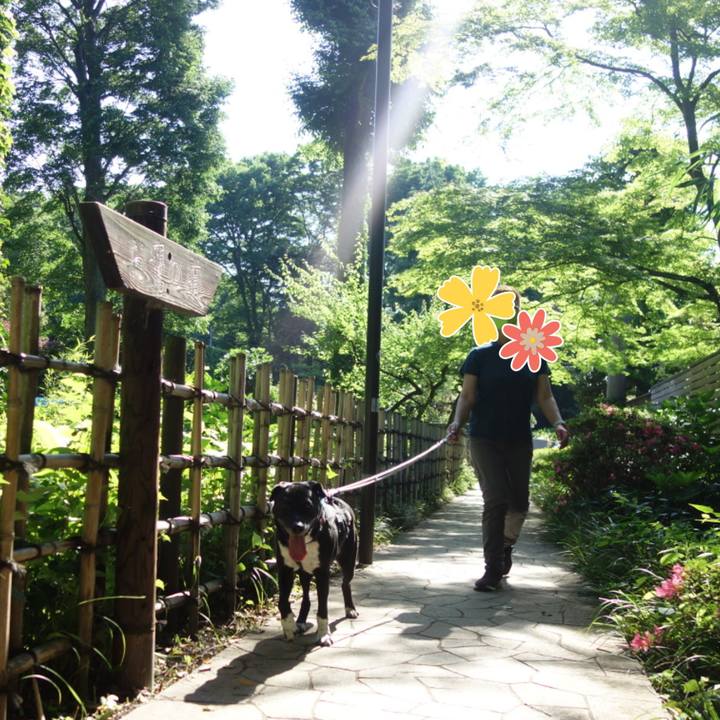 Ea94ee80 404a 4add b7d9 b6d59d508fd3 1653785186956