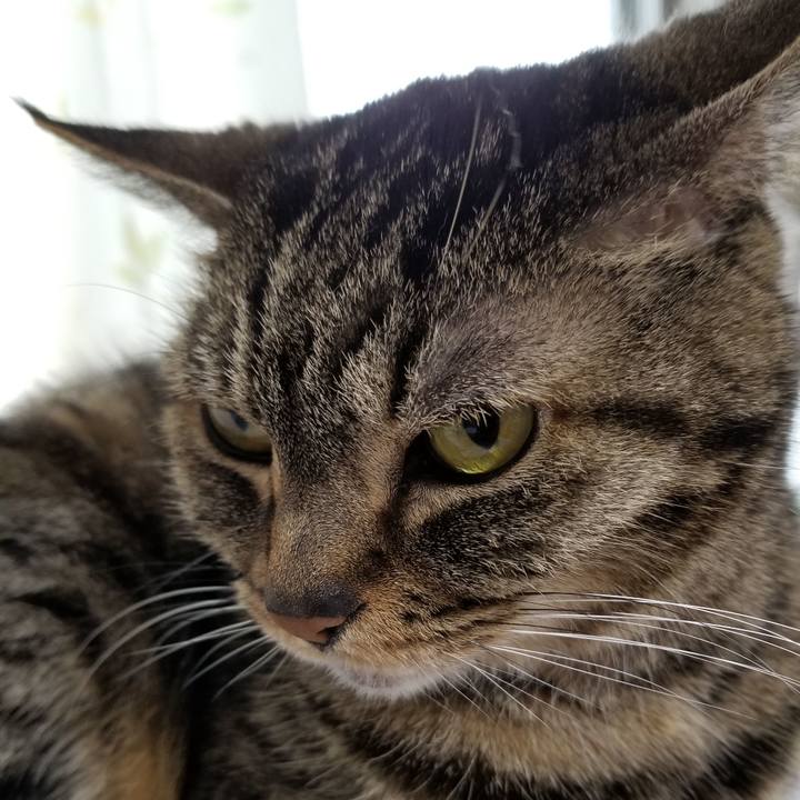 Ea95191c 1726 4fa4 8f9b 728af226ecb0 1621636063823