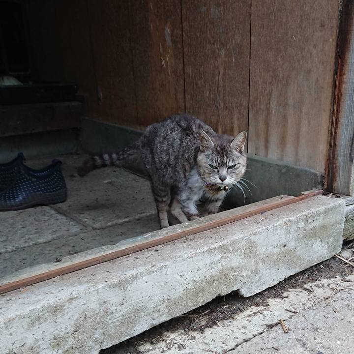 Ea951b96 d229 462b baec f5205e253580 1596055009125