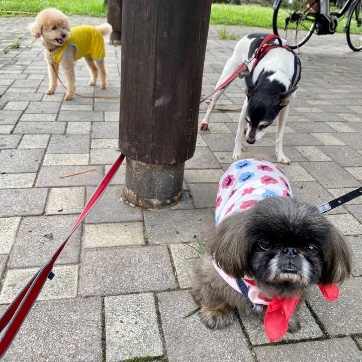 Ea953cab 72d7 46f0 a2f4 1ccec6e12c2b 1595723884570