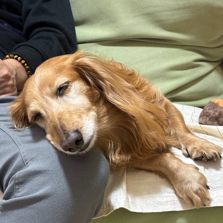 Ea954382 723a 455d b498 da588fe72461 1766841192271