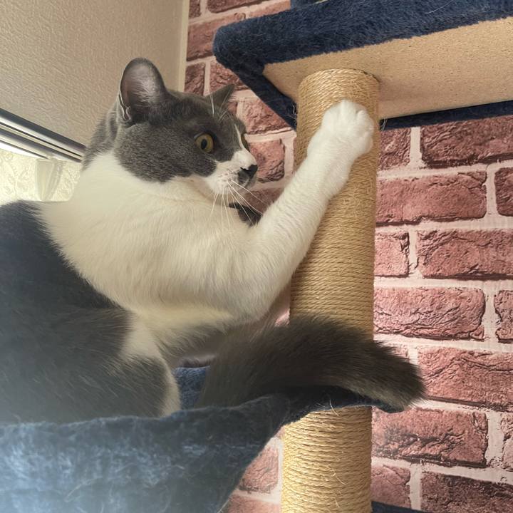 Ea954448 e869 4f27 9ec1 5f63478b2306 1696546773087