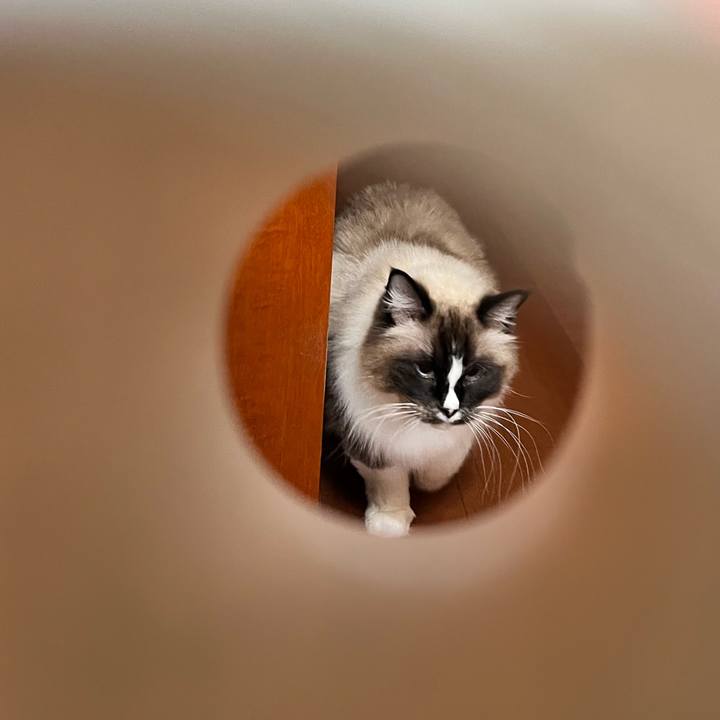 Ea957536 76b5 4dfb 979a e58f6e760066 1676122187764