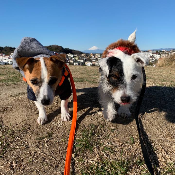 Ea958d64 a915 4f48 a5ed a5a0b004c92f 1546045368073