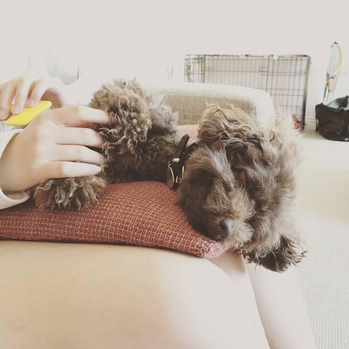 Ea95b12c 6398 468e 9899 0c81f01a53ad 1535207806096