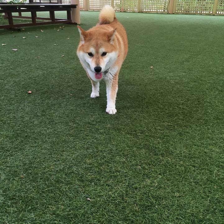 Ea95b8e6 493a 40bb bf39 b8993ffe5938 1542357236789