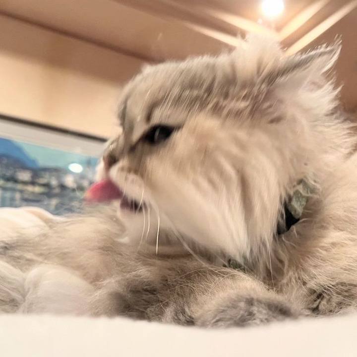 Ea95c025 c2f0 4d9e 8986 a893e7dccc60 1748247582476