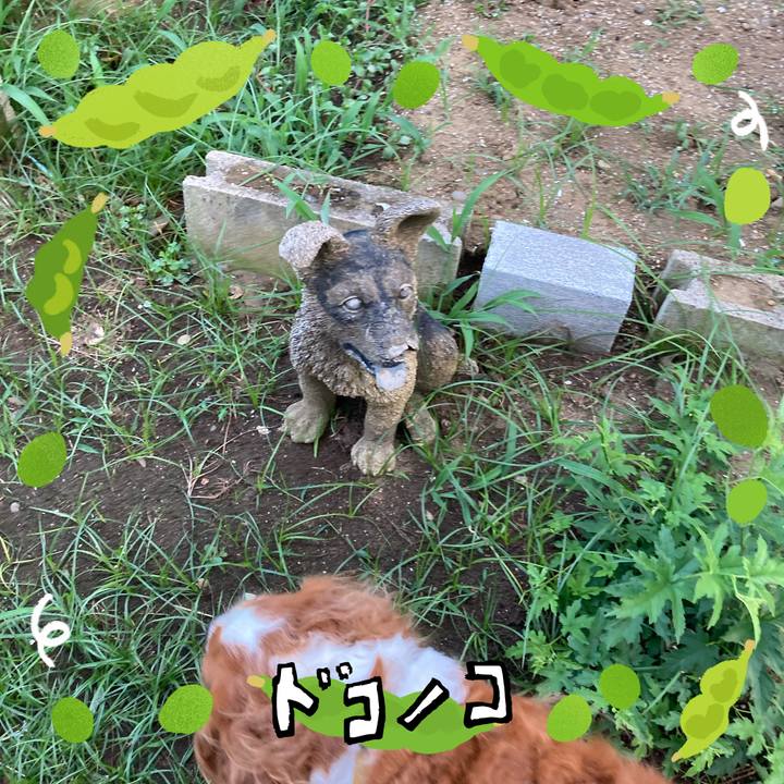 Ea95ed20 6d90 490d 98c9 0f049872b09d 1721030074092