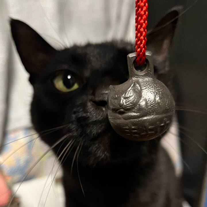 Ea96132f 9502 4c6f 80b4 979432ada0f8 1742216555857