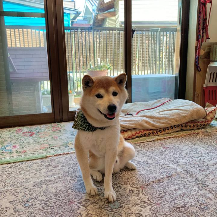 Ea9634d8 7e26 42a1 b4f0 5fab631b3596 1648370565837