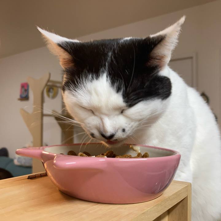 Ea9639cc beb4 4ea1 b918 a98639e888d7 1770929372754