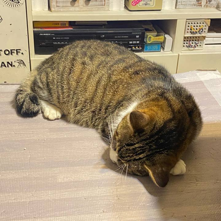 Ea96457d 2fa2 4f37 813d fcf9741d89d0 1621858803846