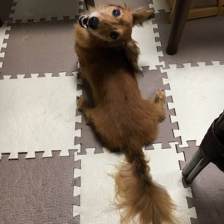 Ea96524e 64df 4a49 a296 6c9ebf8e6682 1595595660430