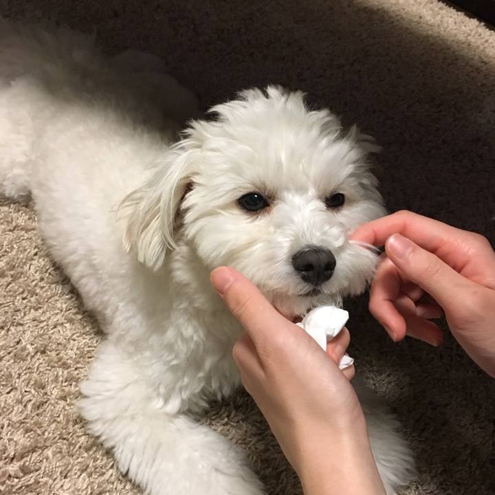 Ea9680d3 3606 4d1b ba0f bec0e16eba75 1555508224926