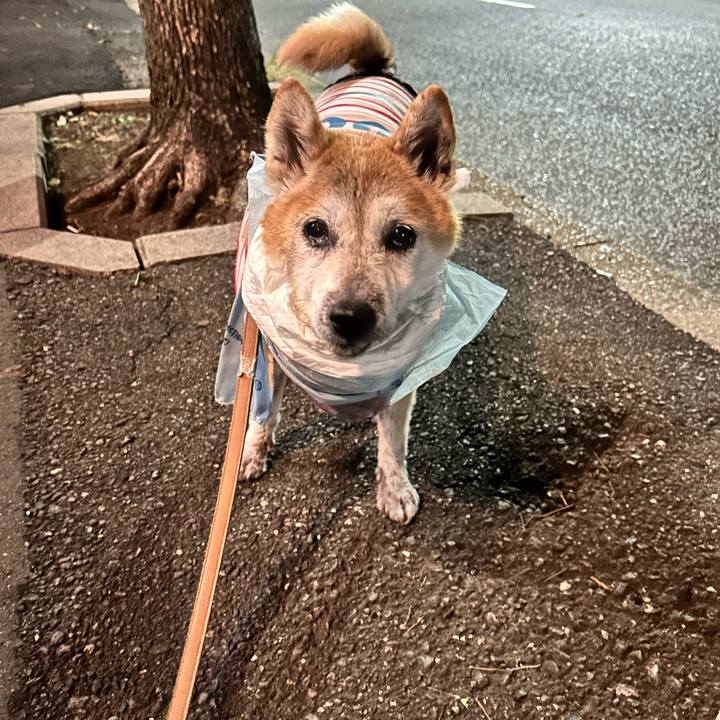 Ea96d469 d689 42e8 acf8 34083732a74b 1765195243920