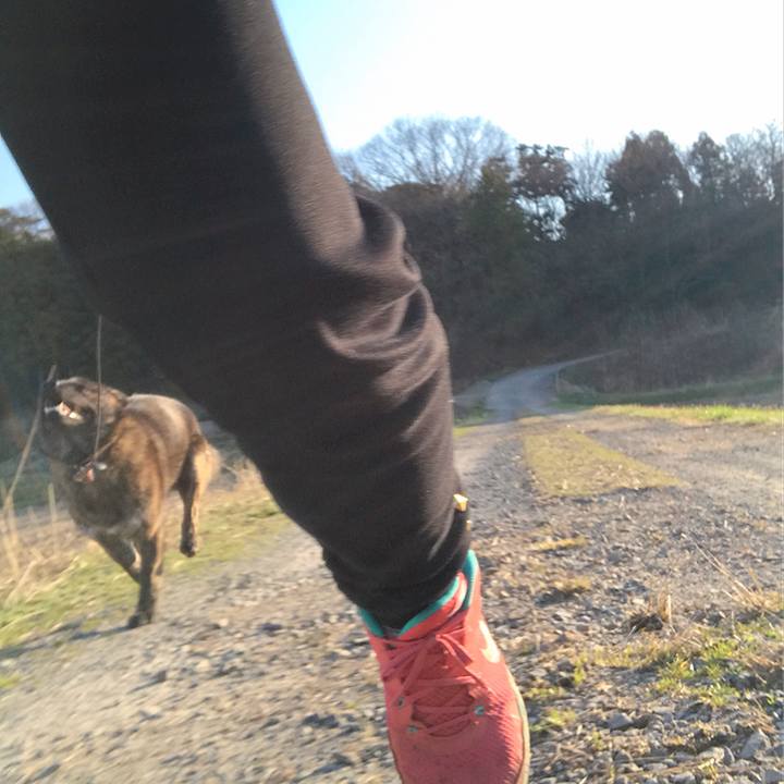 Ea971573 aaf9 4454 a250 59a88470cbe4 1522363898708