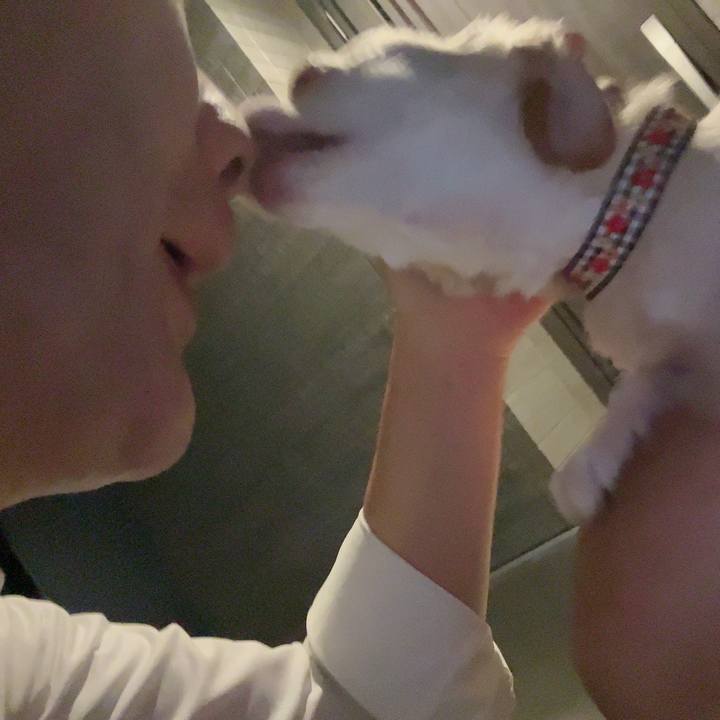 Ea971f68 0aab 42b6 93c7 20fd64c0bcdd 1724334496169