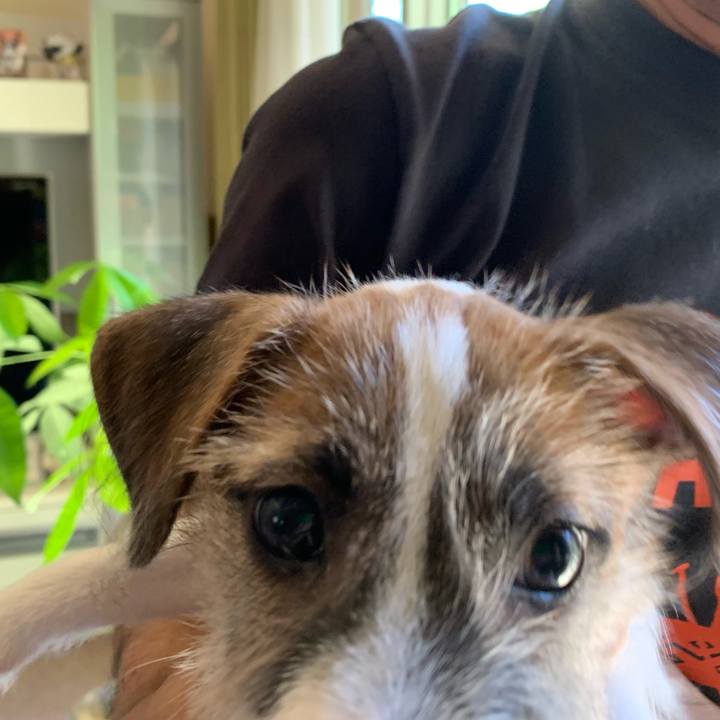 Ea9723c1 c63c 49d7 a3b0 b47c6883b77b 1560655376525