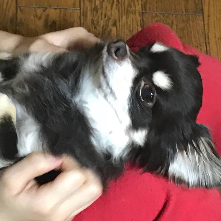 Ea974edf 968d 4c4c 80a7 ea4b1bf6a946 1519559406153