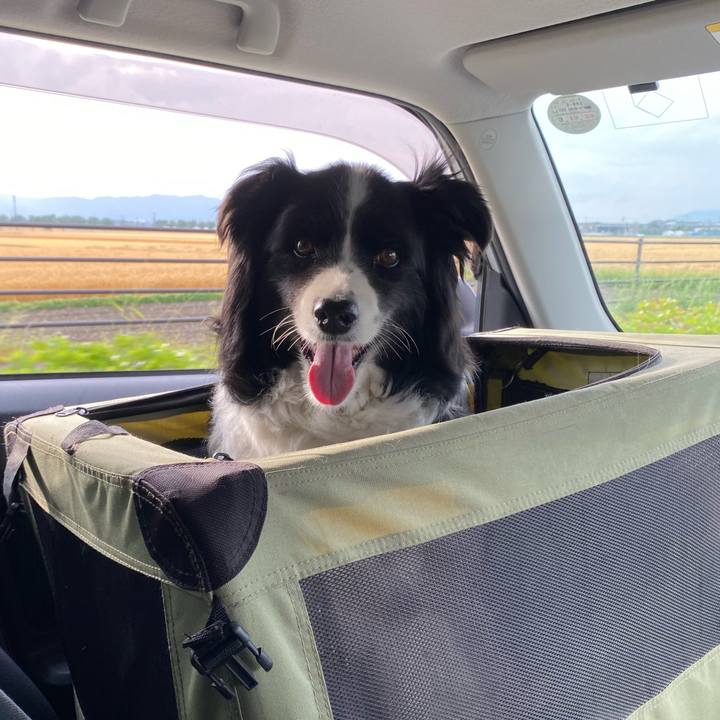 Ea975a6a c894 48e6 aa16 88443d2a2e42 1653899115622