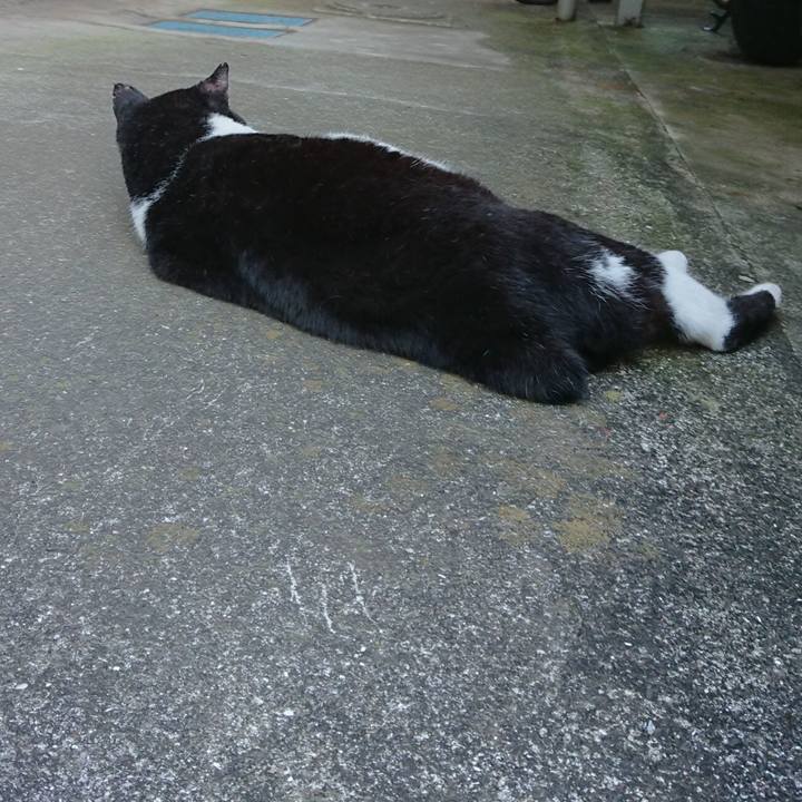 Ea9770e9 e454 40eb 86b7 83e3b72bd889 1599622605552