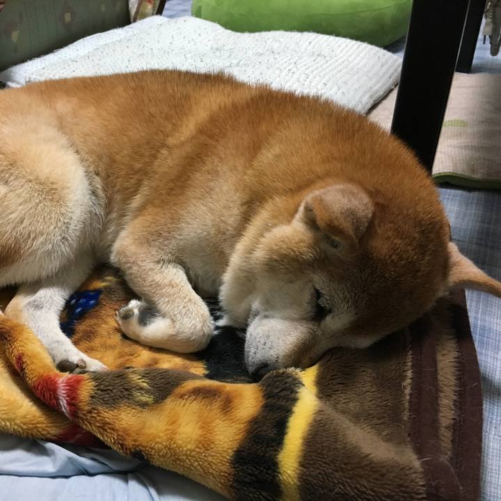 Ea97a692 f1e0 4450 8a52 ad2d9a4986c8 1508764209060