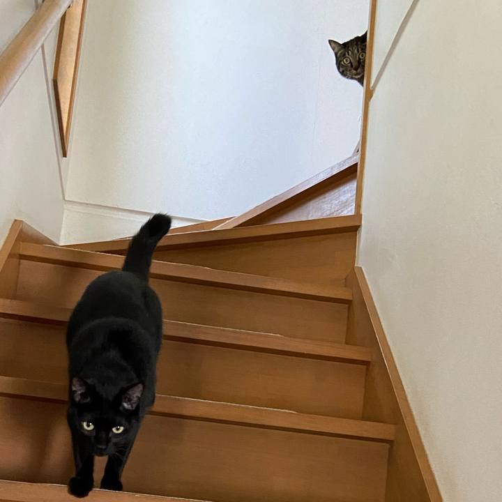 Ea982e55 24fa 4701 9f91 3769887ccfeb 1648378478055