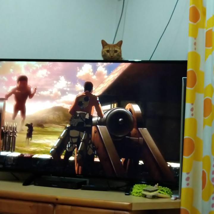 Ea984707 9fba 48ee 821c a7bcf620d3d0 1608027610530