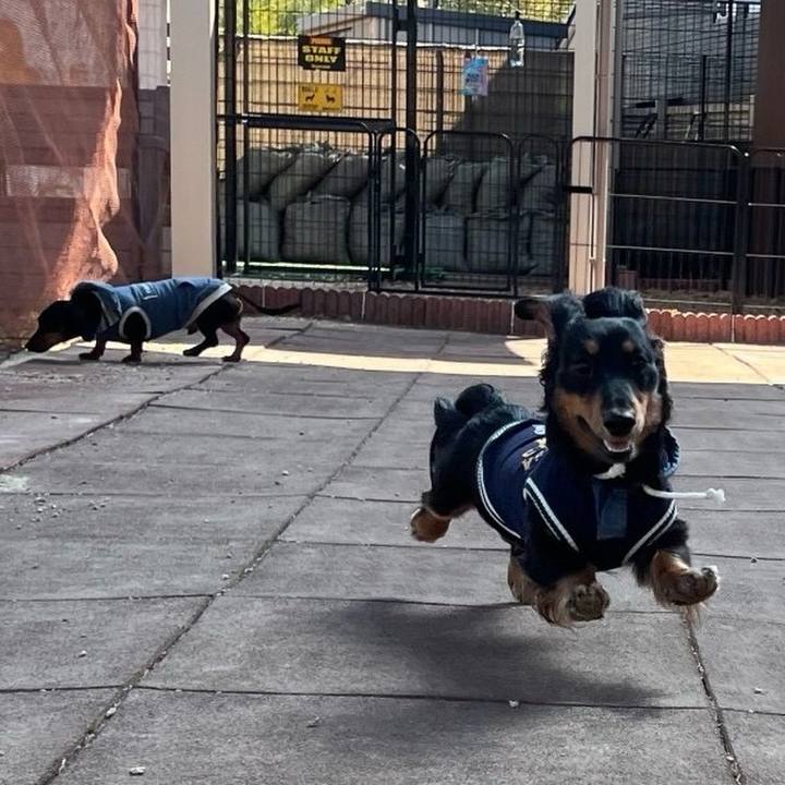 Ea984e8b bce6 4fe1 abed 9e628abd9ecc 1710862125830