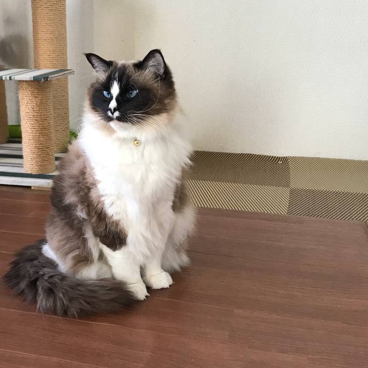 Ea9857e9 6223 497a bc7a de917f8ddc26 1518907209875