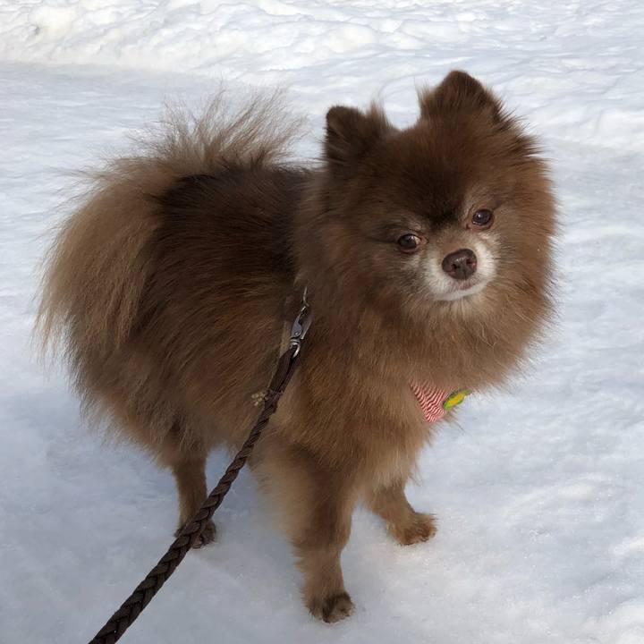 Ea985ffd 66f2 4dce a232 b9dc64c65f05 1550623683005