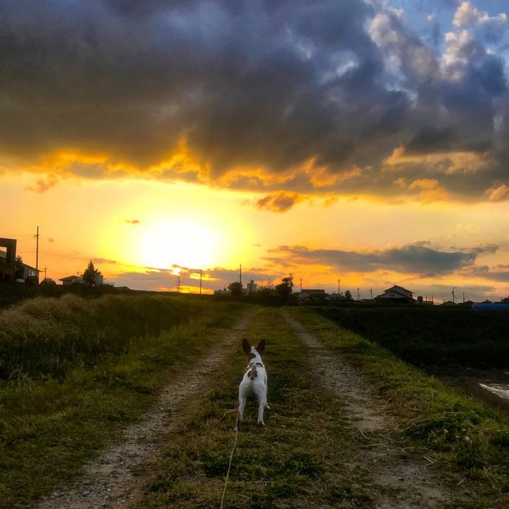 Ea986f77 bbad 4da9 9daf 3e6aa90976d1 1523193242125