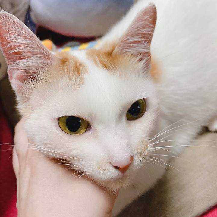 Ea987f3d e06a 4e94 8c4e d0a098a717db 1592401348358