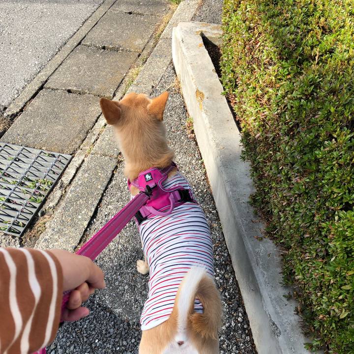 Ea9899db c0ce 4129 b6d4 0ee2d51cc39a 1699495757662