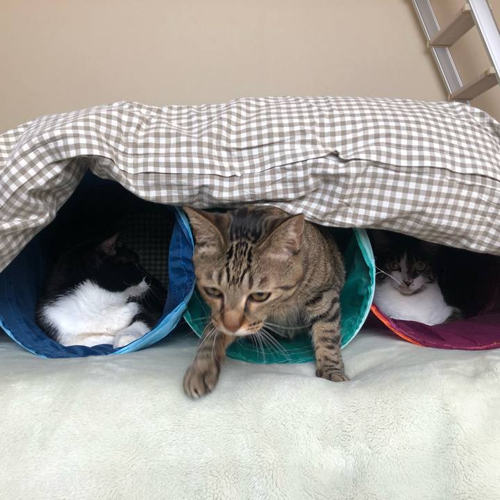 Ea98a4ec 2bd3 45bb aaa9 be2bffbcf23e 1604453261142