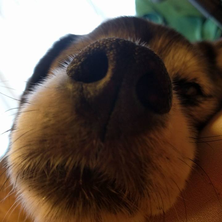 Ea98a9b9 3340 4a5c 8cb9 f4771a4423fe 1523521063619