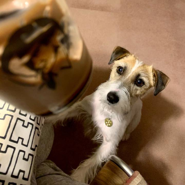 Ea98b072 cea5 4657 916d 45aae112c144 1613997595796