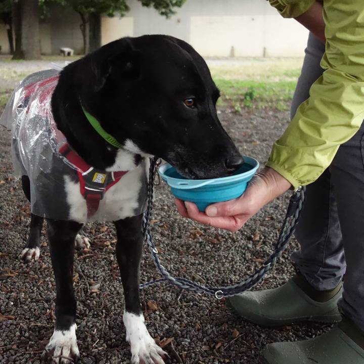 Ea98d796 55ad 44f6 912d 4c68f3eed1cf 1634602022268