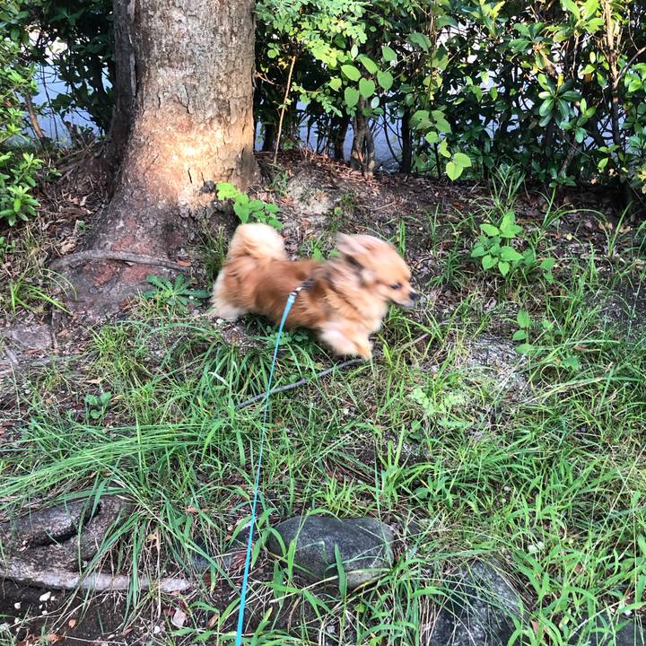 Ea98daaa e488 4ee3 8640 4b2fd05a1b2d 1568067572390