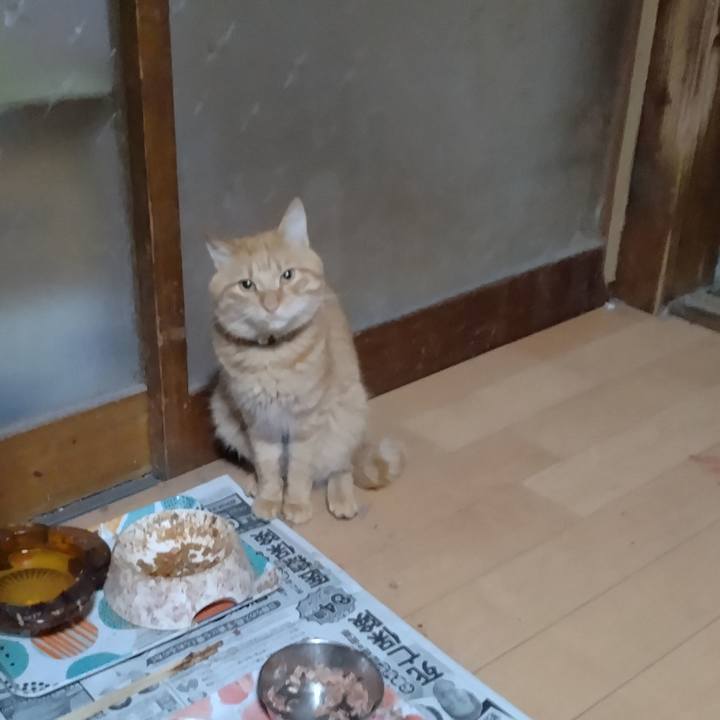 Ea98e427 ce4c 4c06 a245 c7a0486335ab 1666561998275