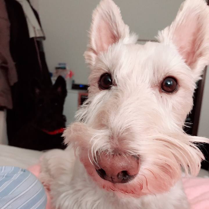 Ea98e7a4 b9d0 42c3 a915 1fac94d4e3ca 1544828966513